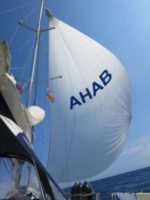 Mitsegeln ab Stralsund. AHAB Mitsegeln ab Stralsund