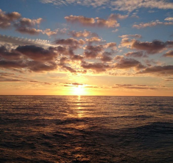 Mitsegeln Nordsee, Amsterdam - Helgoland